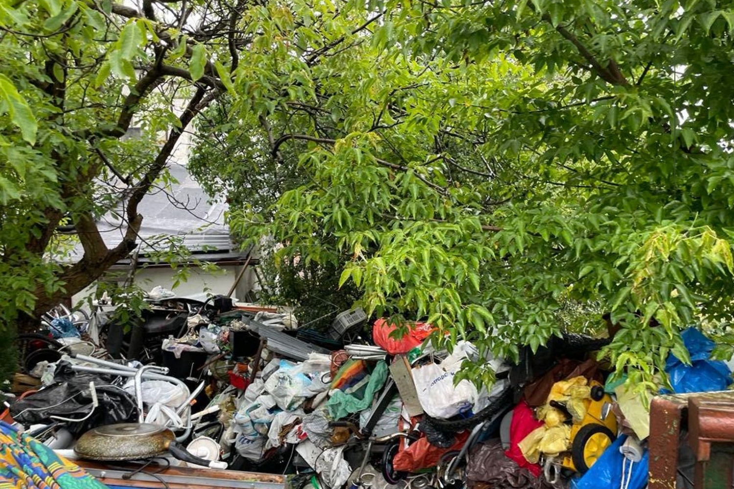 likwidacjadzikichwysypisk