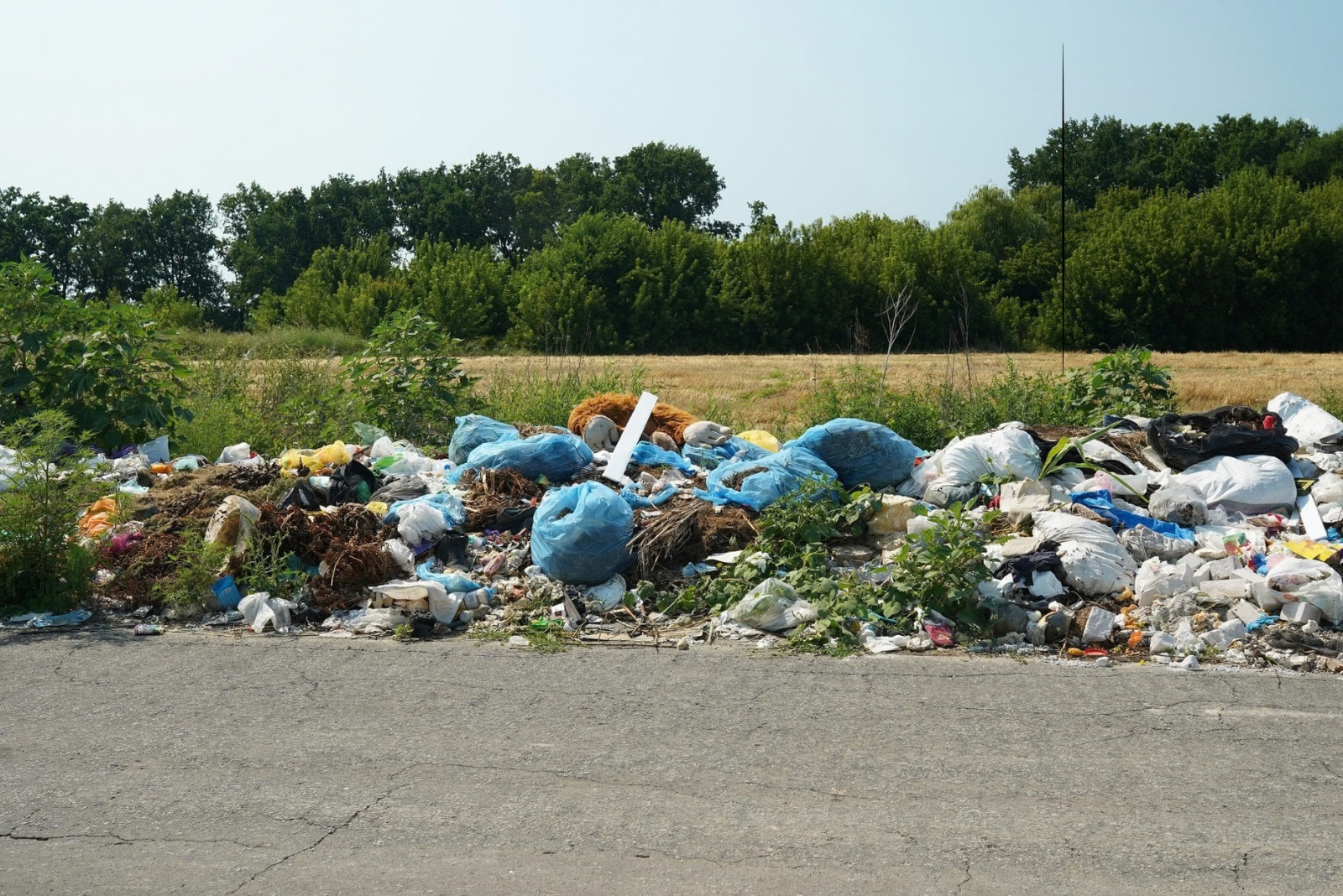 likwidacjadzikichwysypisk