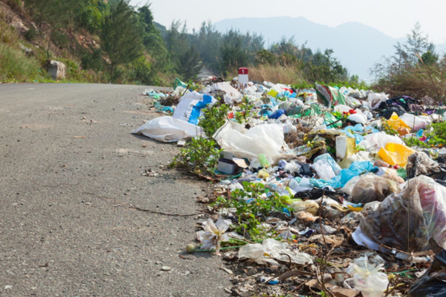 likwidacjadzikichwysypisk