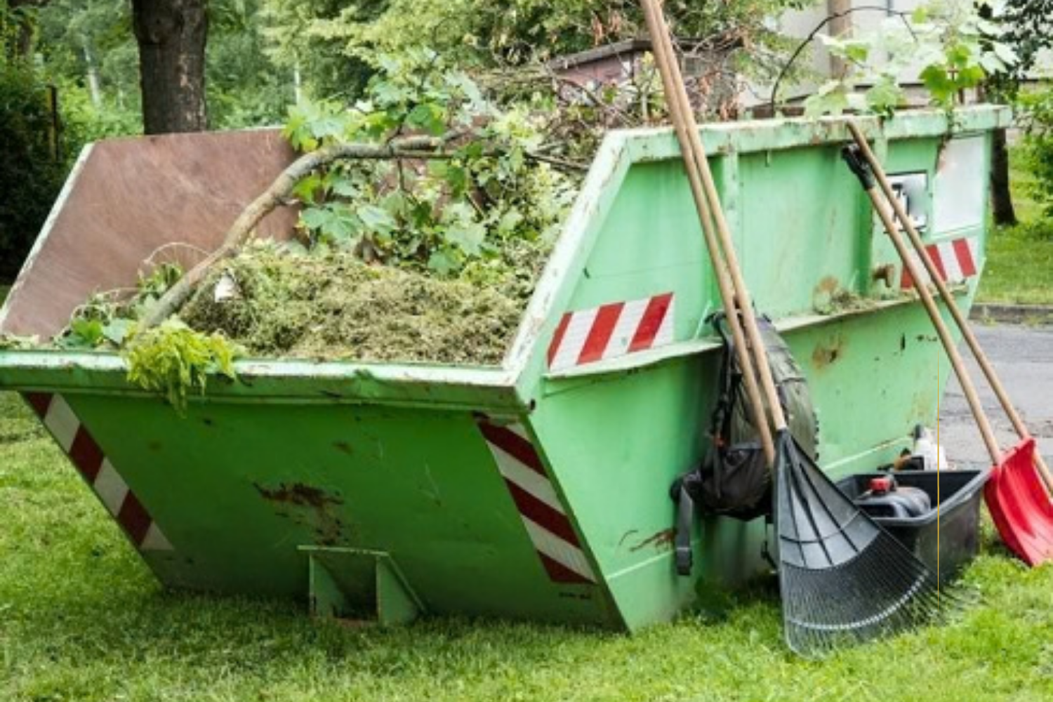 likwidacjadzikichwysypisk