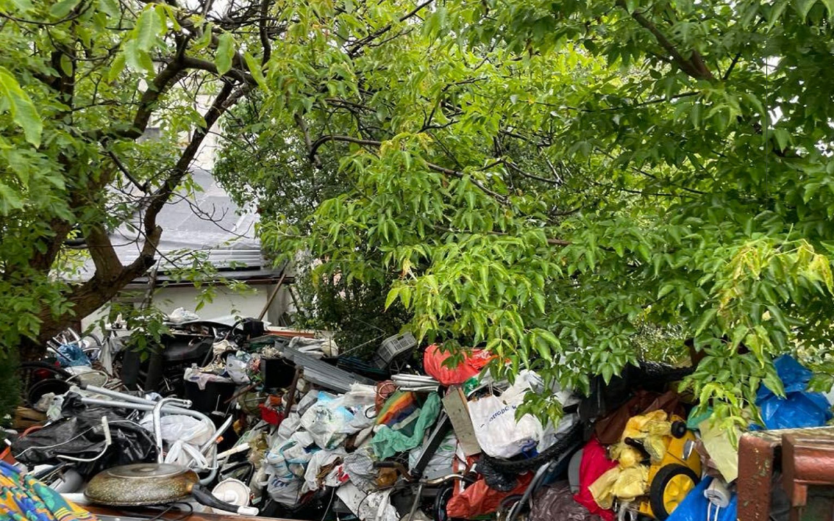 likwidacjadzikichwysypisk