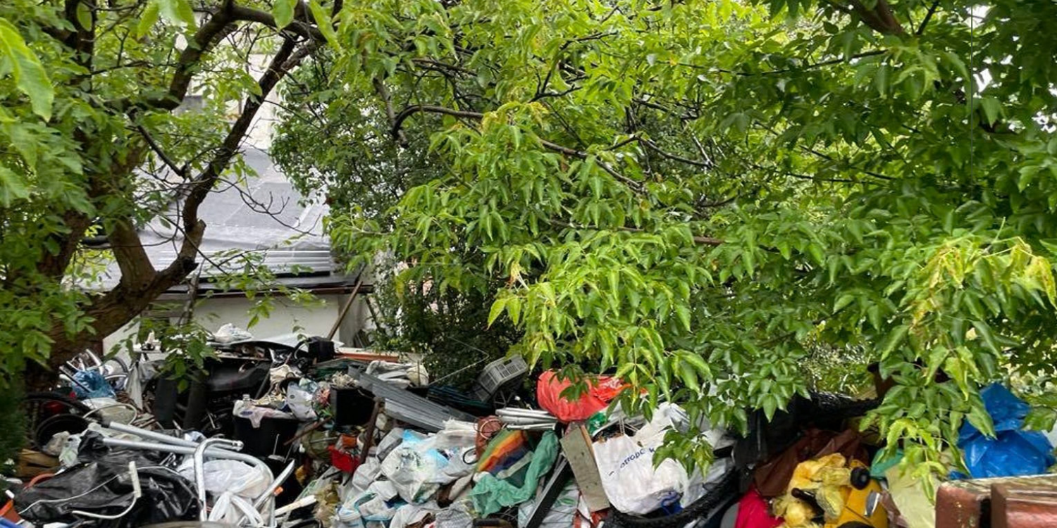 likwidacjadzikichwysypisk